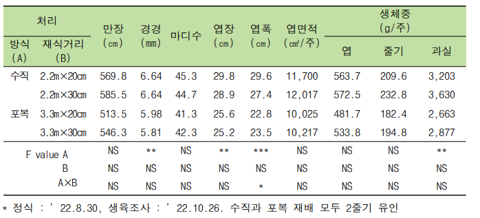 재배방식과 재식거리에 따른 식물체 생육 특성 (‘깜놀’)