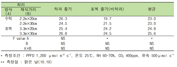 재배방식과 재식거리에 따른 순광합성 속도(품종 ‘블랙루비’, 단위 : μmole CO2 m-2 s-1)