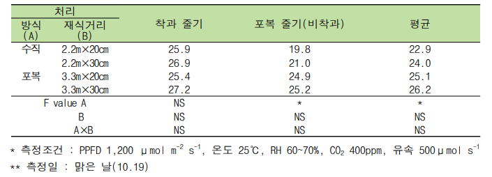 재배방식과 재식거리에 따른 순광합성 속도(품종 ‘깜놀’, 단위 : μmole CO2 m-2 s-1)