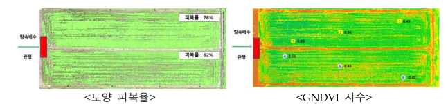 논콩 무굴착 땅속배수 설치에 따른 피복효과(1년차)