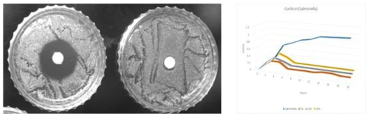 살모넬라 생육 저해능 in-vitro 평가