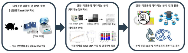 후보 물질 급여 동물 장관 마이크로바이옴 분석