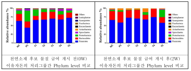 천연소재급여전·후에따른E.coli 공격접종이유자돈의그룹별 taxonomic composition 비교 (Phylum)