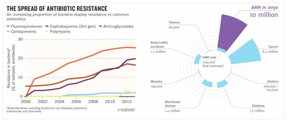 항생제 내성 및 위험성 증가 (출처: Reardon, 2015; Review on anitimicrobial resistance, 2018)