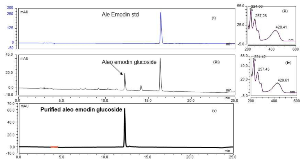 Aloe-emodin glucoside 생합성 과정 대한 HPLC 분석. (i) Aloe-emodin glucoside 표준 샘플; (ii) Aloe-emodin 표준샘플 UV-VIS; (iii) Aloe-emodin 반응물; (iv) Aloe-emodin glucoside UV-VIS; (v) 정제된 aloe-emodin glucoside