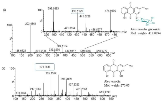 HR-QTOF-ESI/MS 분석. (i) Aloe-emodin 결과물, (ii) Aloe-emodin glucoside 표준샘플