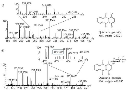 HR-QTOF-ESI/MS 분석. (i) Quinizarin 표준샘플, (ii) Quinizarin glucoside 결과물