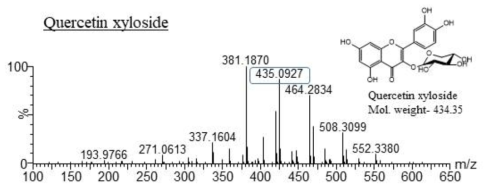Quercetin-3-O-xyloside HR-QTOF-ESI/MS 분석