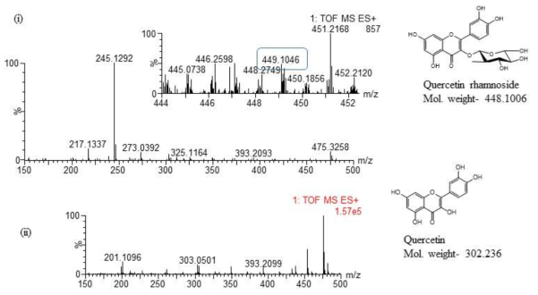 Quercetin-3-O-rhamnosidee HR-QTOF-ESI/MS 분석