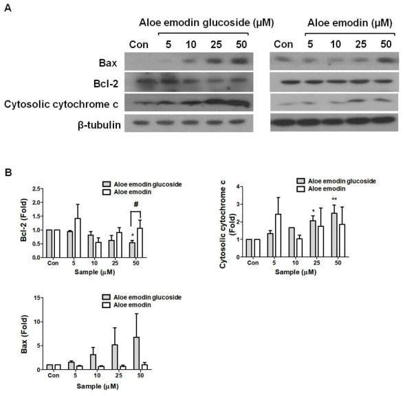 Comparison with effects of AE3G and AE on the regulation of Bax and Bcl-2 expression and cytochrome c release in A549 cells