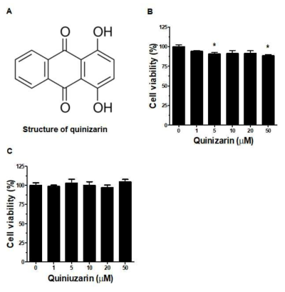 Cell viability effects of Quinizarin on C2C12 cells were determined by CCK assay. (A) Structure of quinizarin (B) Non differentiated C2C12 cells. (C) Differentiated C2C12 cells