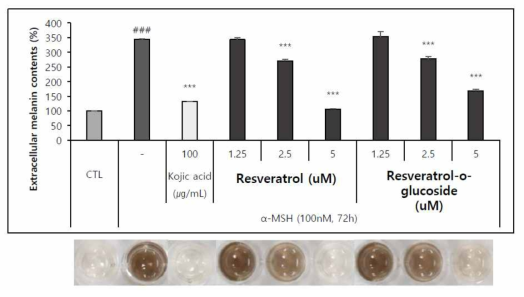 Resveratrol과 Resveratrol-glucoside 미백 평가: ▶세포배양시색이없는5% ATCC FBS 포함media를사용함. ▶자극원은α-MSH, Positive control은Kojicacid(미백기능성원료)를사용함. ▶멜라닌생성억제율은CTL (100%),a-MSH 단독처리군(0%) 로환산하여계산함. ▶유의성표시는미백효능이있을경우에만표기하였음. ▶***; p < 0.001 / **; p < 0.01 / *; p < 0.05