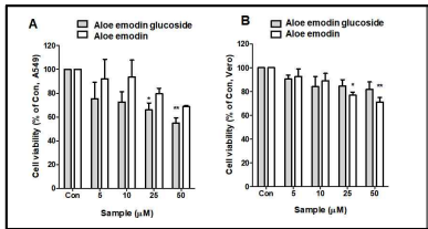 미생물 대사체계를 통해 생합성된 Aloe emodin glucoside에 대하여, 그의 aglycone인 Aloe emodin과 비교 하였을 때 (A) 더욱 촉진된 인간폐암세포 (A549 cells) 사멸능과 (B) 더욱 완화된 정상세포 (Vero cells)에 대한 독성 평가