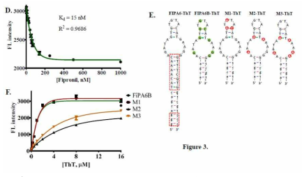 . ThT label free sensor FiPA6B 돌연변이를 통한 핵심 잔기 결정 D. The measurement of the dissociation constant for fipronil detection using ThT displacement with aptamer FiPA6B.; E. Secondary structures of ThT sensors, FIPA6, FIPA6B, M1, M2, and M3. Insets with two dotted lines indicate the deleted region of the stem to create FIPA6B aptamer. In FiPA6B structure, green-filled circles represent possible target sites for mutation, whereas the red-filled circles indicate the mutation sites in M1, M2, and M3 mutant. F. Lighting up analysis with different mutants of FiPA6B