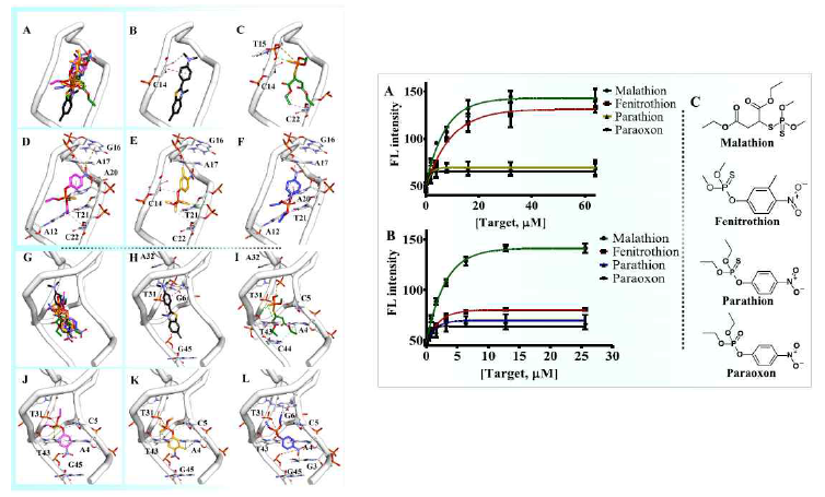 MalA1과 MalA2 센서의 말라티온 결합 분자 모델링 (좌) 및 유기인계 화합물의 특이성분석 (우)