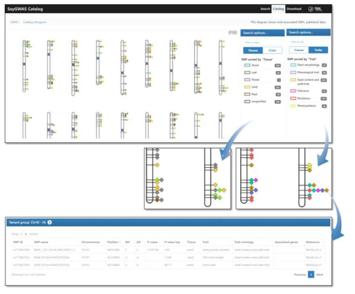 SoyGWAS 카탈로그 diagram 및 Table 패널
