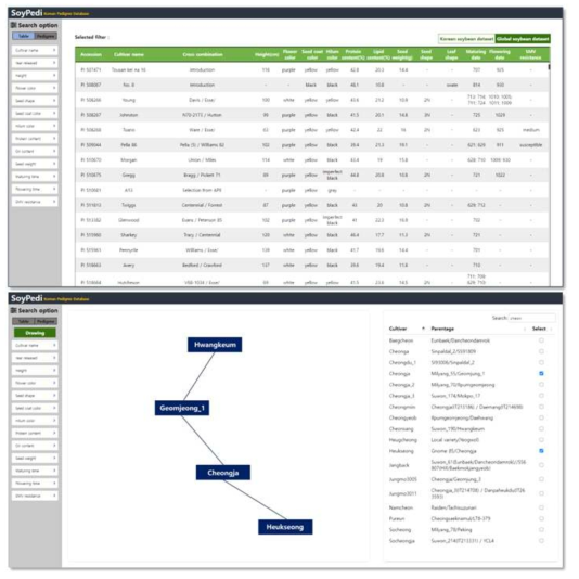 SoyPedi Global soybean 데이터 및 동적 가계도 drawing 페이지
