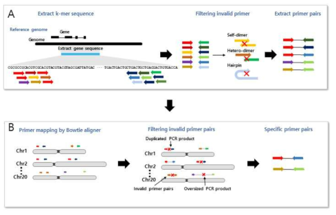 Genome-wide specific PCR 프로그램 개요도