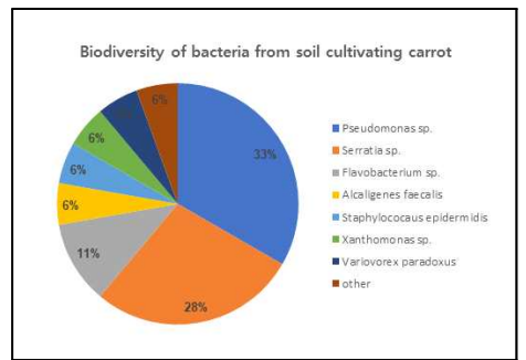 제주 당근 재배 토양에서 분리한 세균종의 분포