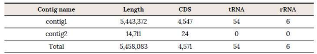 Contig1과 contig2의 길이 및 CDC, tRNA, rRNA