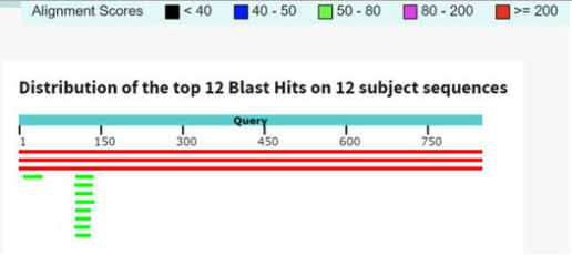 The results of blastn search with a hypothetical protein gene from Rhodococcus fascians D188