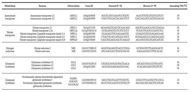 선발된 질소 흡수/동화 관련 유전자 및 qRT-PCR을 위한 프라이머 설계