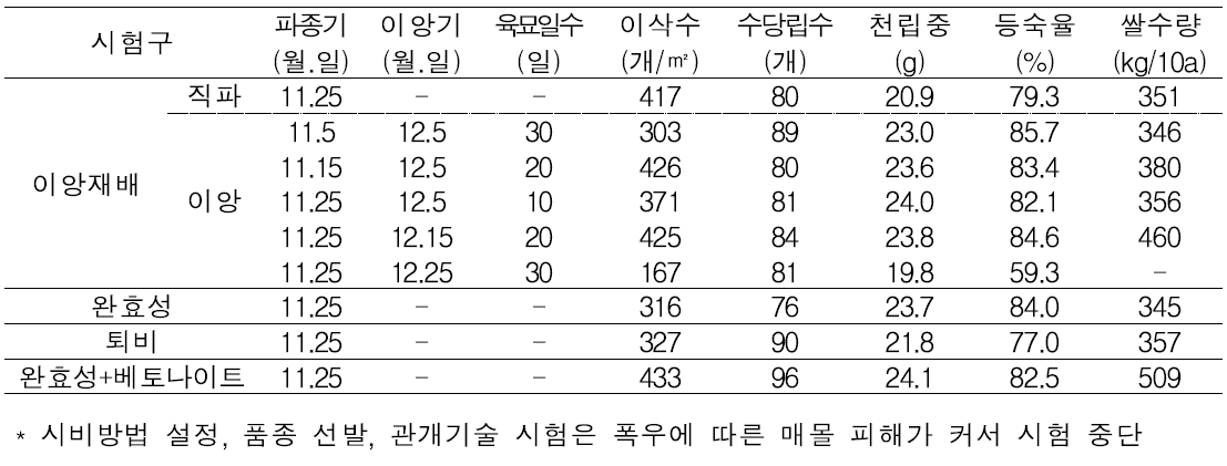 UAE 현지 시험 수량 및 수량구성요소 조사 결과