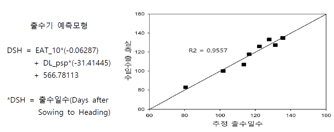 출수기 예측모형 및 추정치와 실측치의 비교