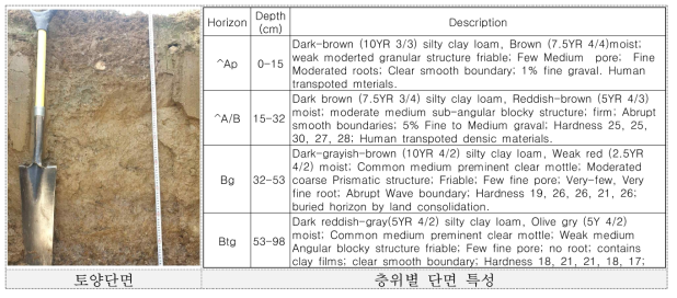 시험 토양의 단면 특성