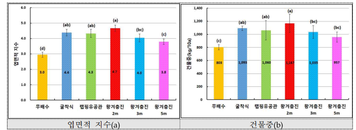 땅속배수 방법별 콩의 개화기 엽면적 지수 및 건물중 비교