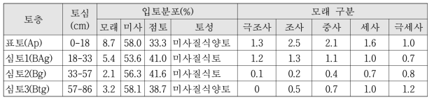 시험토양의 물리적 특성