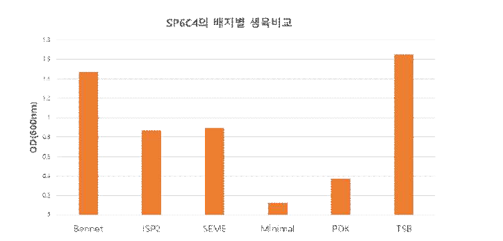 SP6C4의 배지별 OD분석 결과.