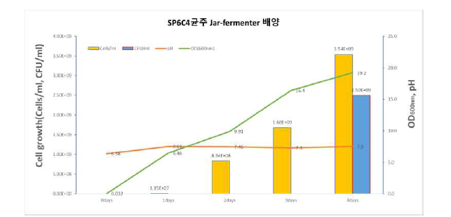 SP6C4의 Jar-fermenter 배양 결과.