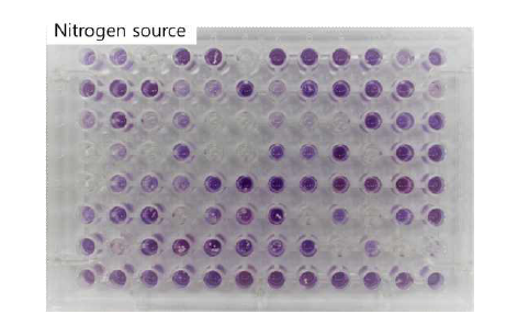 SP6C4의 영양원(Nitrogen source) 최적화 스크리닝 결과.