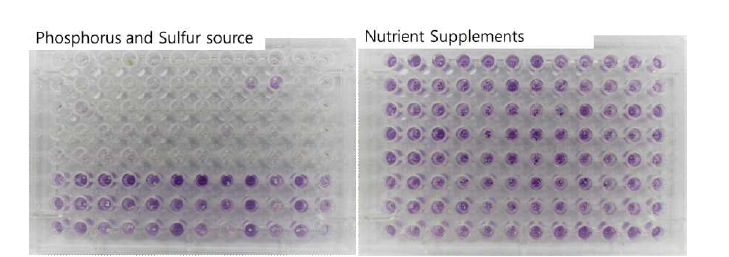 SP6C4의 영양원(Phosphorus and Sulfur source와 Nutrient Supplements) 최적화 스크리닝 결과.