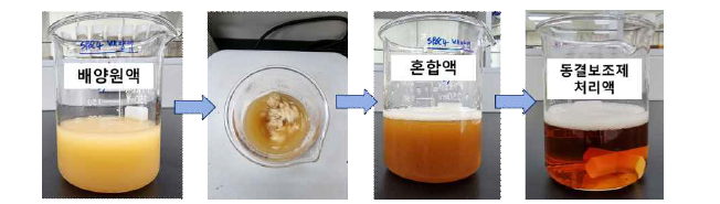 SP6C4의 동결건조 보조제 혼합과정.