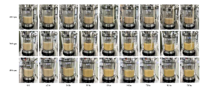 SP6C4의 Jar-fermenter 배양 최적화 agitation 조건별 배양 결과.