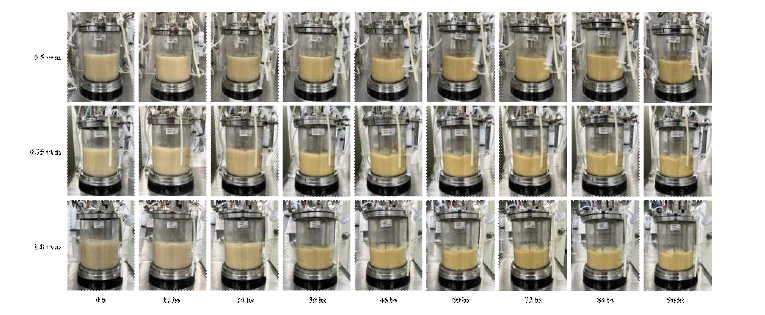 SP6C4의 Jar-fermenter 배양 최적화 aeration 조건별 배양 결과.