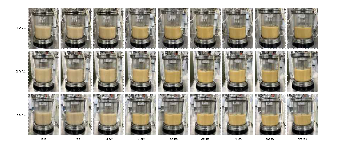 SP6C4의 Jar-fermenter 배양 최적화 Inoculum size 조건별 배양 결과.