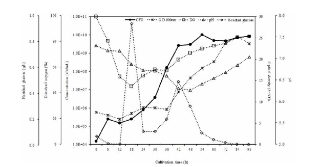 SP6C4의 Pilot scale 50L-fermenter 배양 결과(pH, DO, OD, glucose, viable cells).