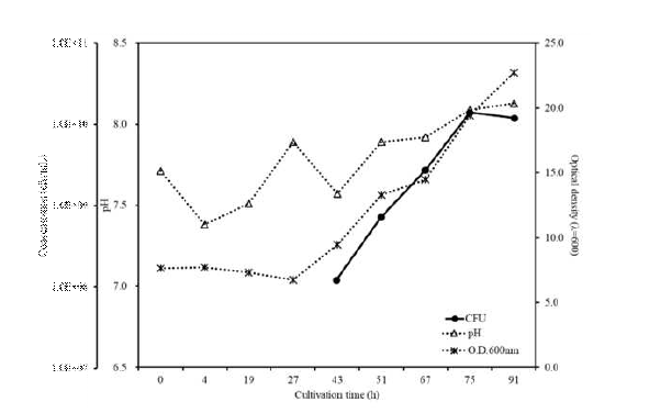 SP6C4의 Pilot scale 500L-fermenter 배양 결과(pH, OD, viable cells).