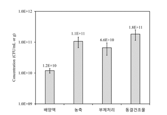 SP6C4의 연속원심분리기(Disk type)농축, 동결건조보조제 혼합 및 동결건조 후 균수 관찰 결과.