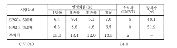 SP6C4 WP 20의 딸기 꽃곰팡이병에 대한 약효시험 결과.