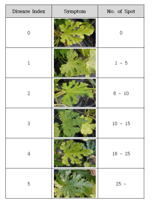 쥬키니호박의 발병도 조사기준.