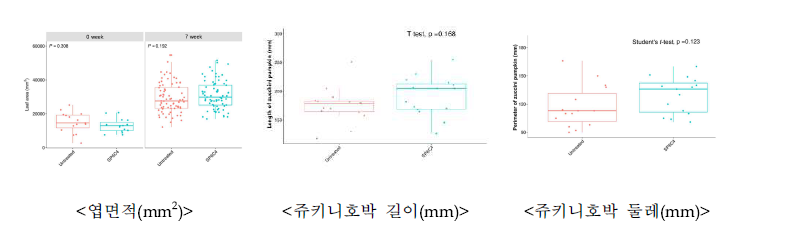 쥬키니호박의 생육조사 결과.