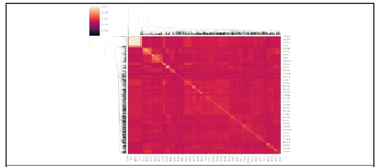 데이터 경량화 기반 샘플 간 Correlation plot (애기장대)