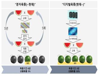 분자 육종과 디지털 육종 비교 (출처:농림축산식품부)