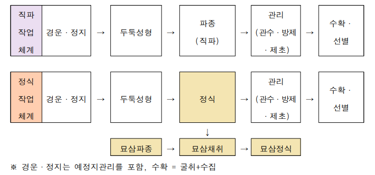 인삼 생산 작업체계