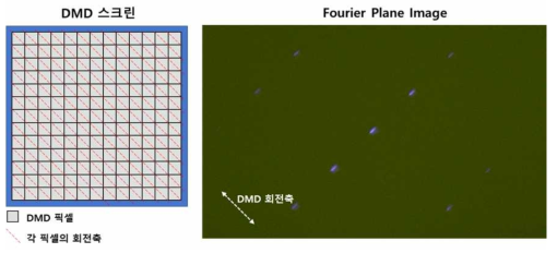 DMD의 fourier plane 이미지