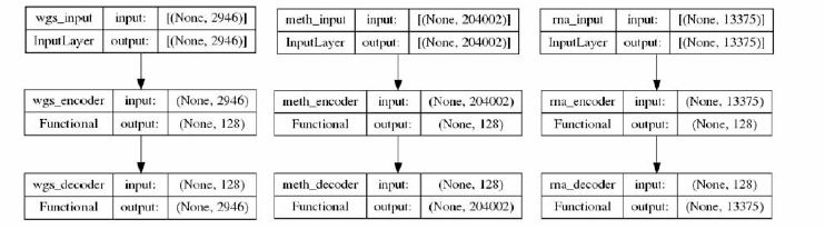 Structure of multiomics Autoencoder models